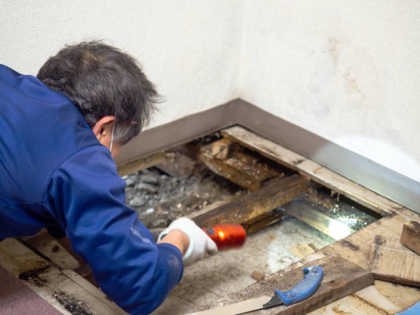 Water Damage Restoration in Fairburn, GA