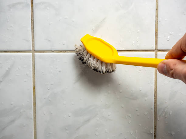 Best Best Mold Removal Companies  in Fairburn, GA