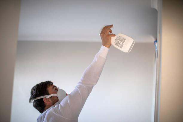 Fairburn, GA Mold Removal Pros