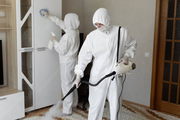 Best Attic Mold Removal  in Fairburn, GA