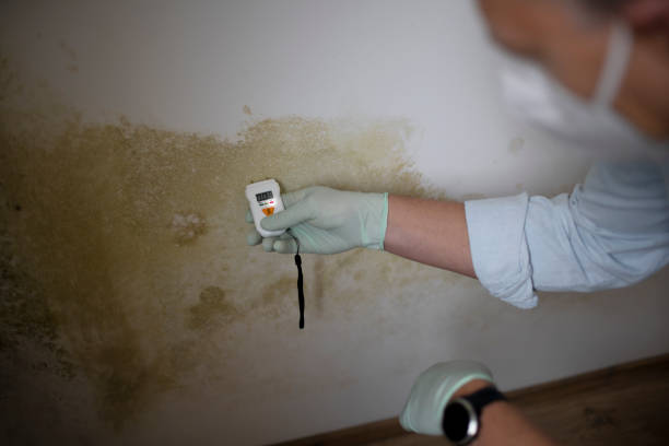 Best Mold Cleaning Services  in Fairburn, GA