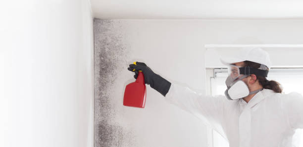 Best Commercial Mold Removal  in Fairburn, GA